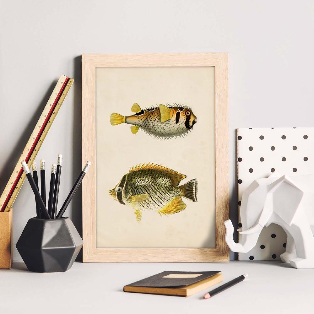 Nacnic Lámina Vintage De Peces Amarillos Grises Y Negros