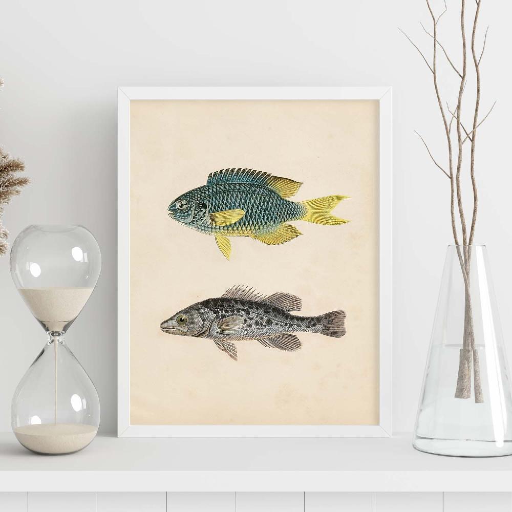 Nacnic Lámina Vintage De Peces Azul Amarillo Y Gris