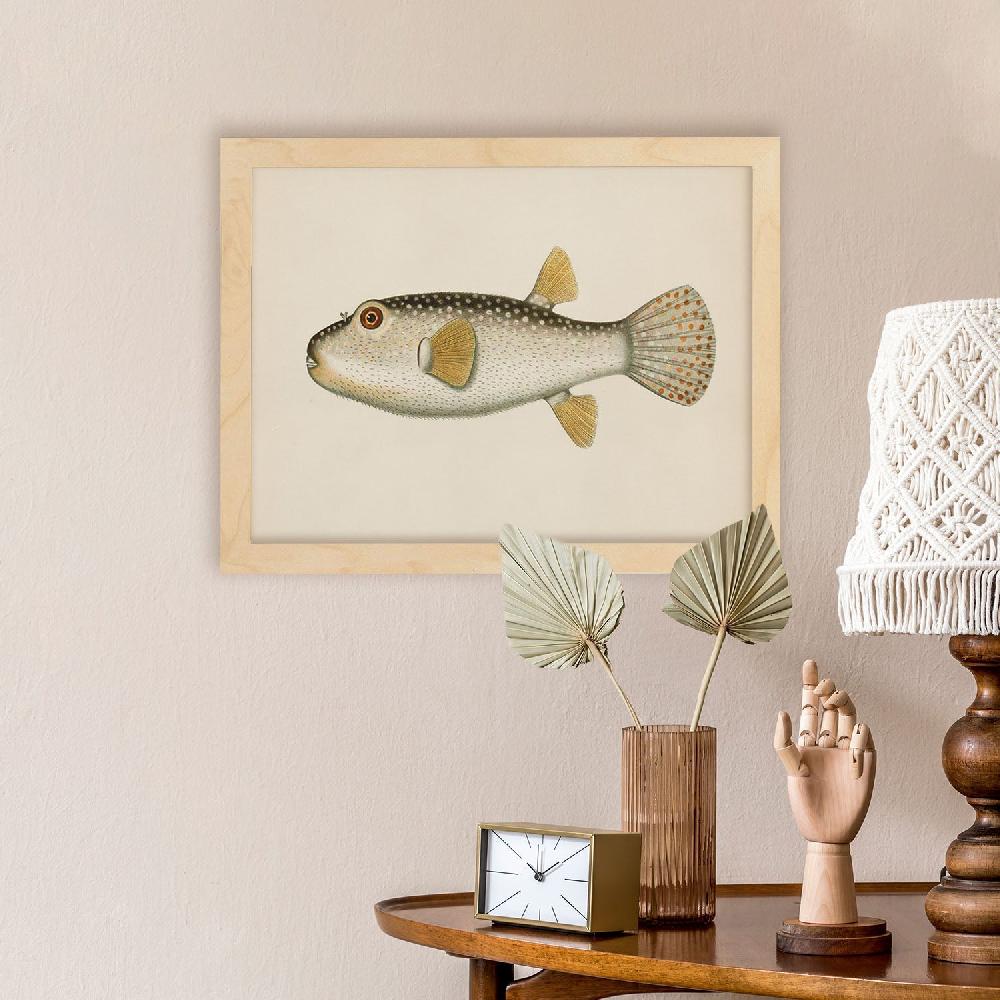 nacnic Lámina Vintage de Pez en Colores Marrón Beige y Naranja