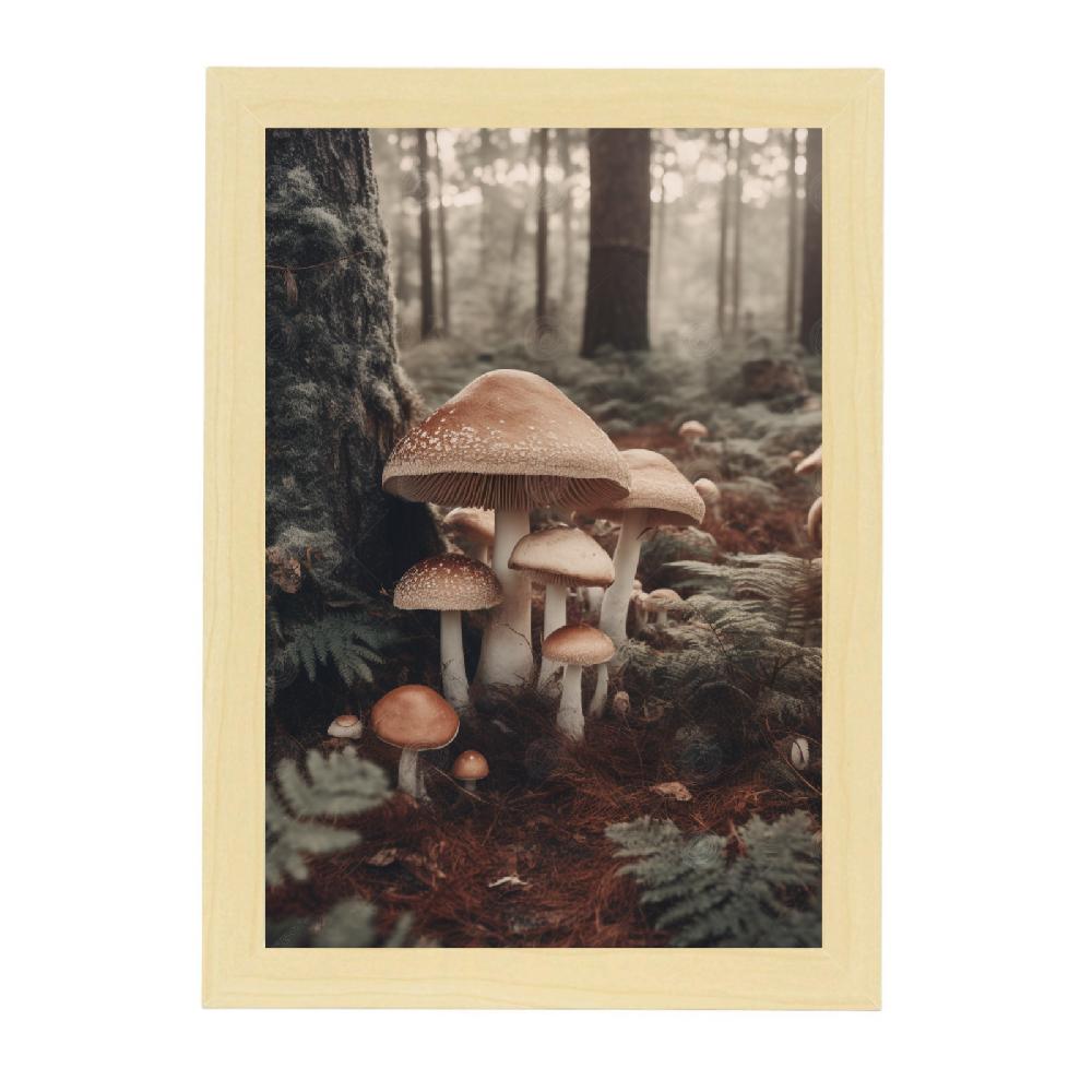 Nacnic Lámina Vintage De Setas Antiguas En Bosque 8k Blanco