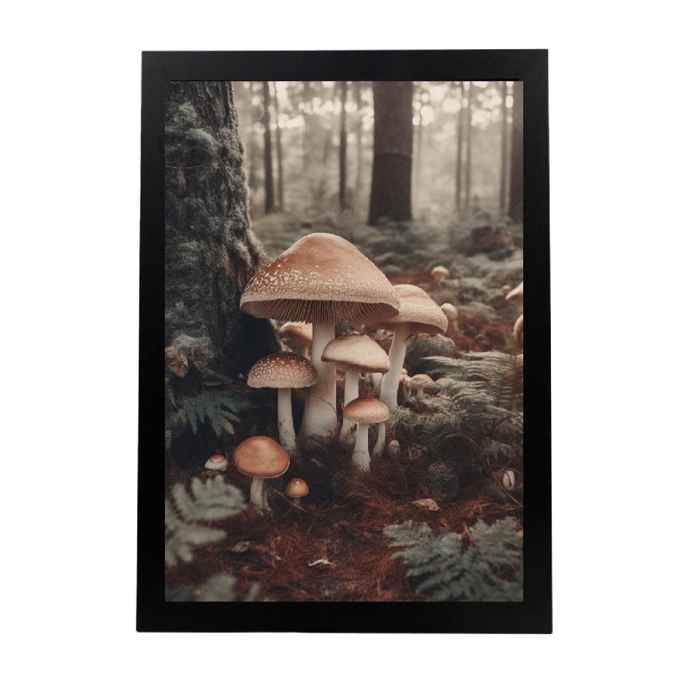 nacnic Lámina Vintage de Setas Antiguas en Bosque 8k Blanco