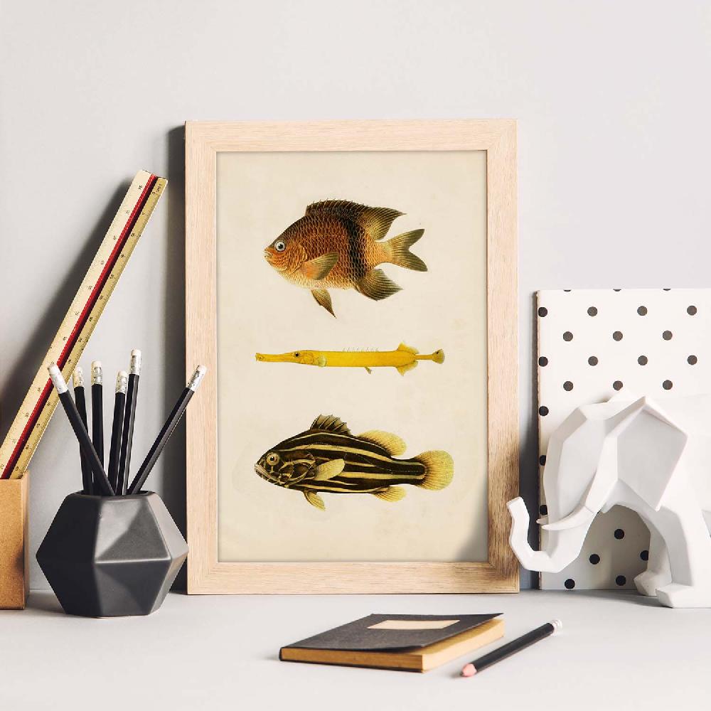 Nacnic Lámina Vintage De Tres Peces Amarillo Marron Y Negro
