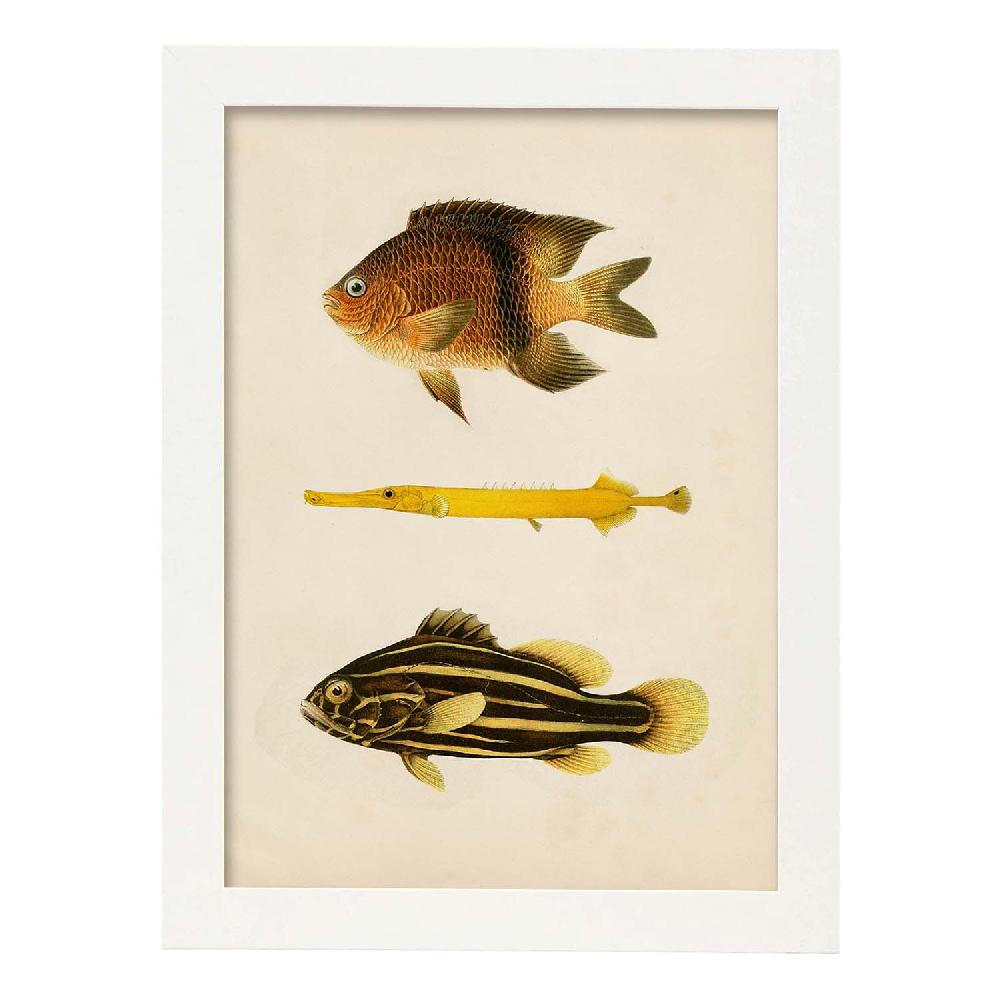 Nacnic Lámina Vintage De Tres Peces Amarillo Marron Y Negro