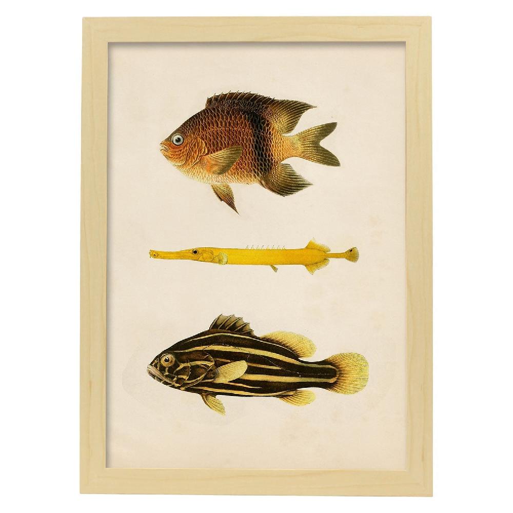 Nacnic Lámina Vintage De Tres Peces Amarillo Marron Y Negro