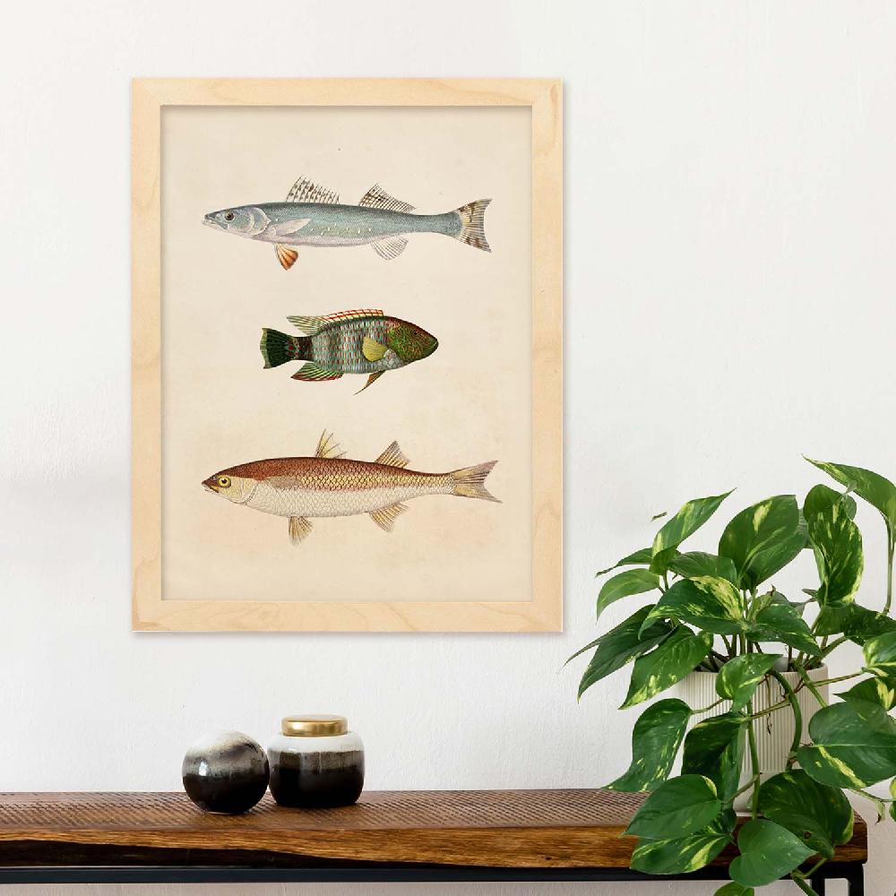 Nacnic Lámina Vintage De Tres Peces En Azul Verde Marrón Y Beige