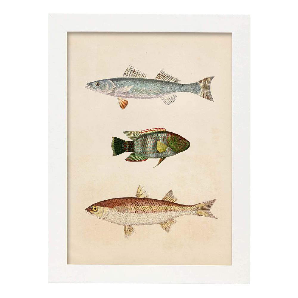 Nacnic Lámina Vintage De Tres Peces En Azul Verde Marrón Y Beige