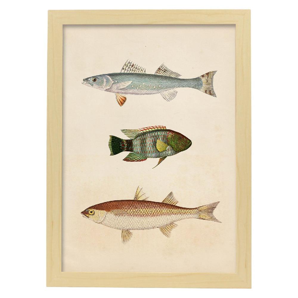 Nacnic Lámina Vintage De Tres Peces En Azul Verde Marrón Y Beige