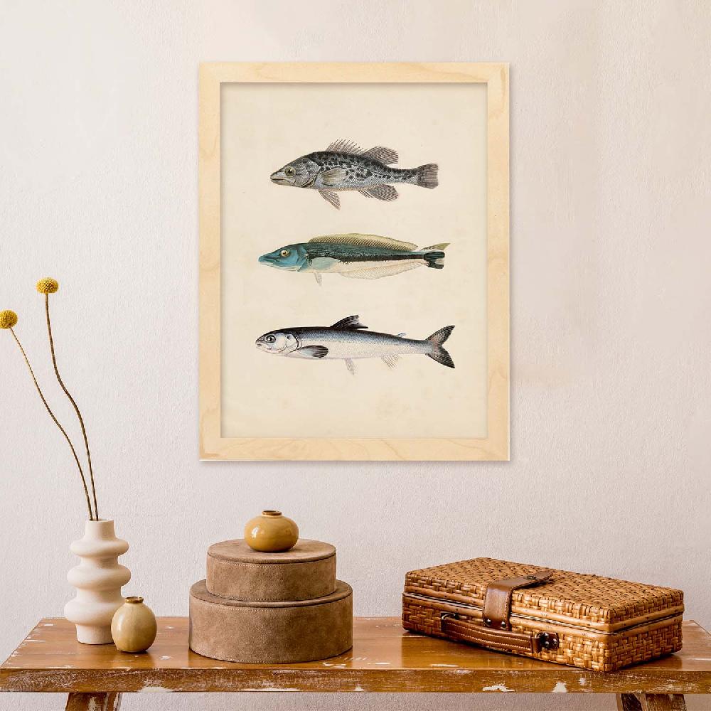 Nacnic Lámina Vintage De Tres Peces En Gris Azul Y Blanco