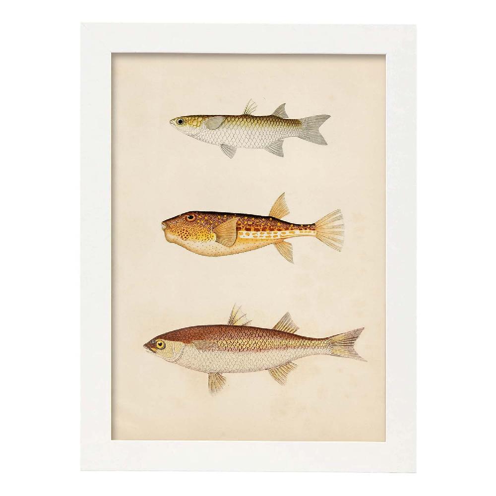 Nacnic Lámina Vintage De Tres Peces En Marrón Beige Y Naranja