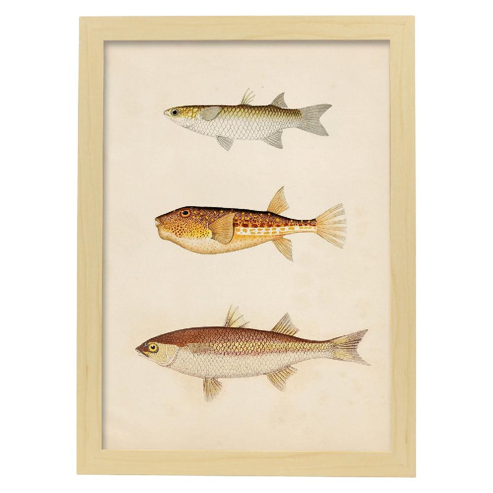 Nacnic Lámina Vintage De Tres Peces En Marrón Beige Y Naranja
