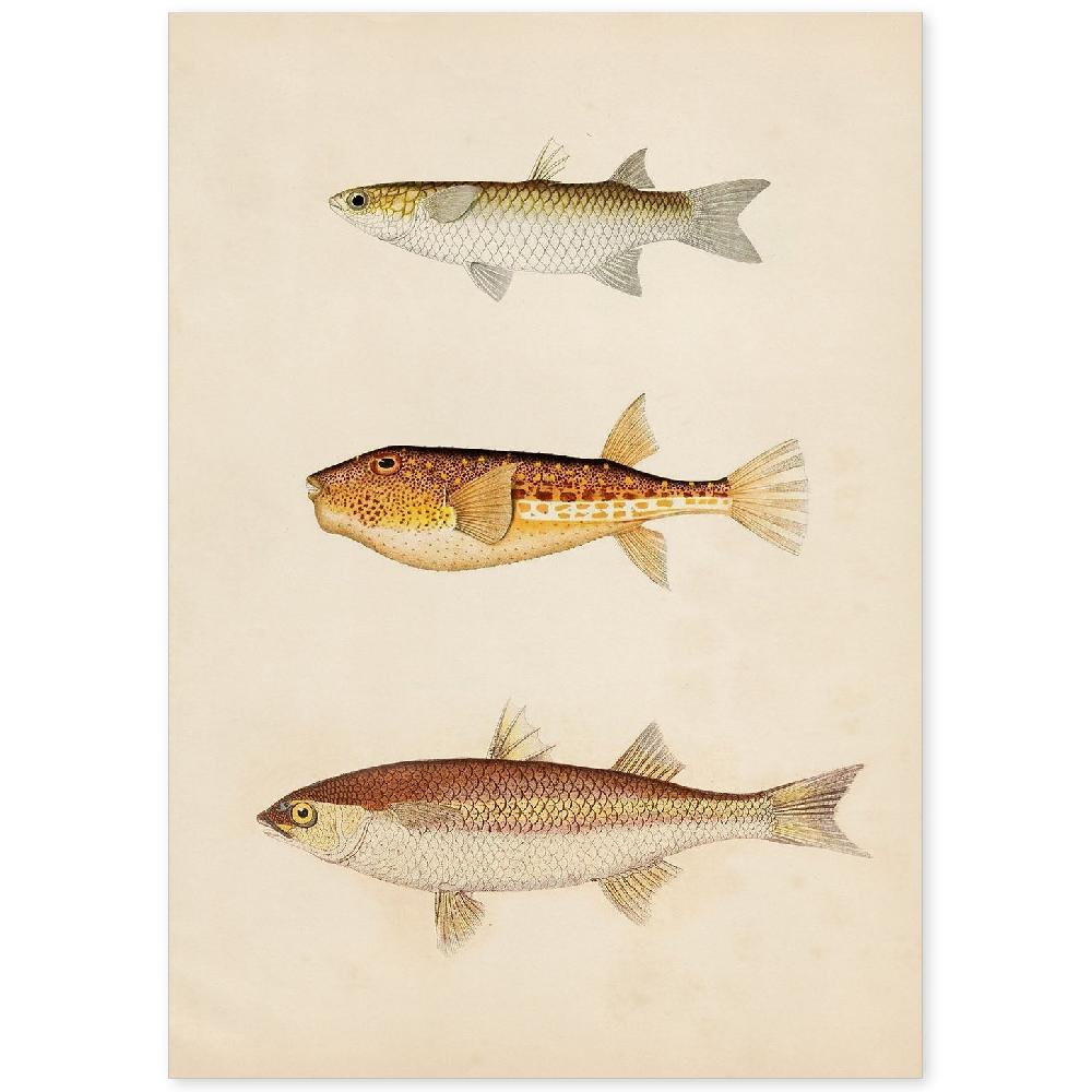 nacnic Lámina Vintage de Tres Peces en Marrón Beige y Naranja