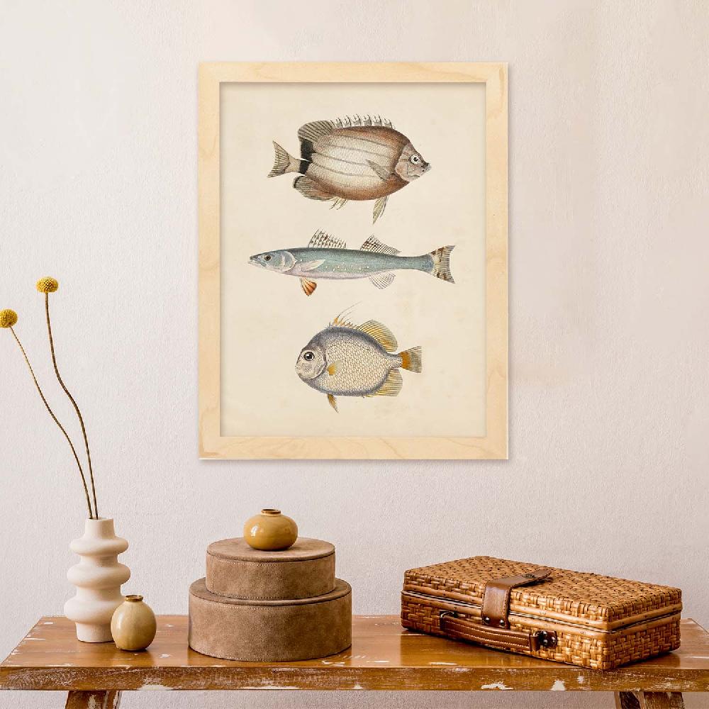 Nacnic Lámina Vintage De Tres Peces Marrón Azul Y Gris