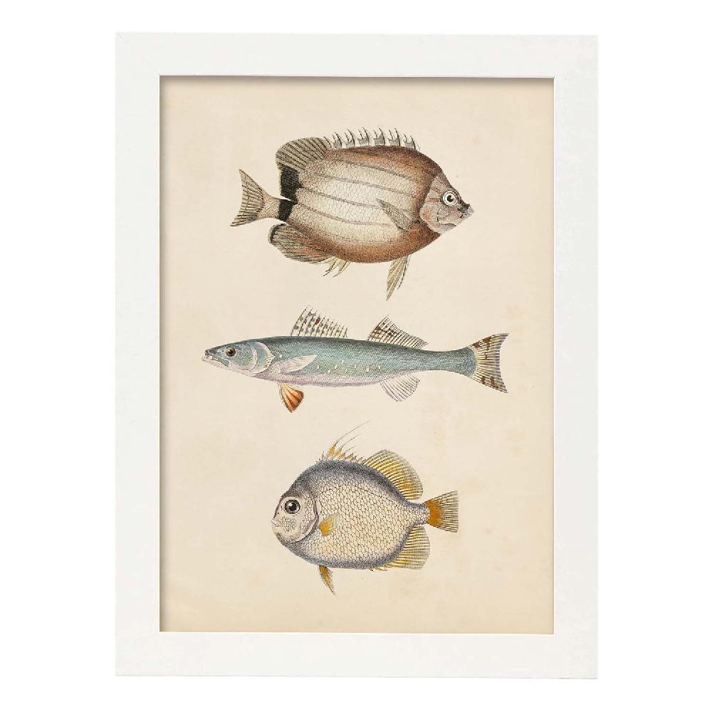 Nacnic Lámina Vintage De Tres Peces Marrón Azul Y Gris