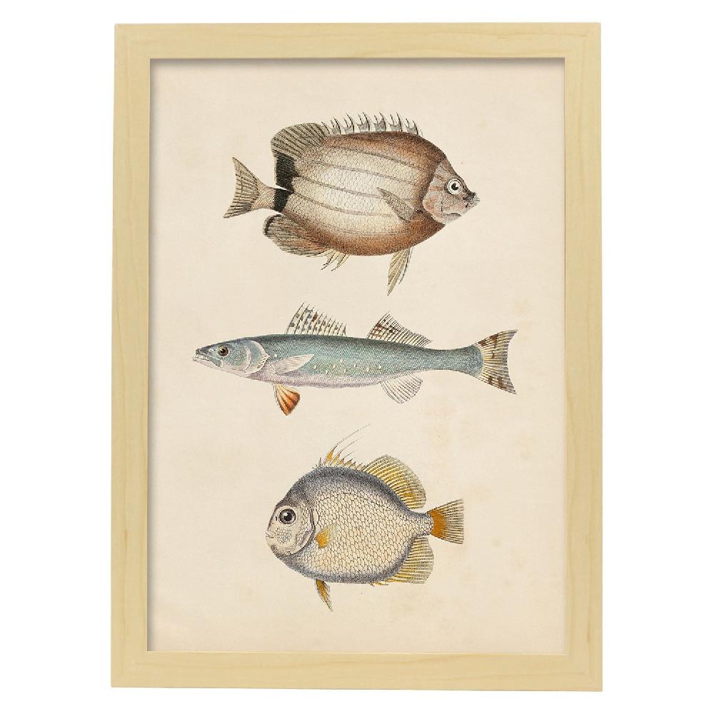 Nacnic Lámina Vintage De Tres Peces Marrón Azul Y Gris
