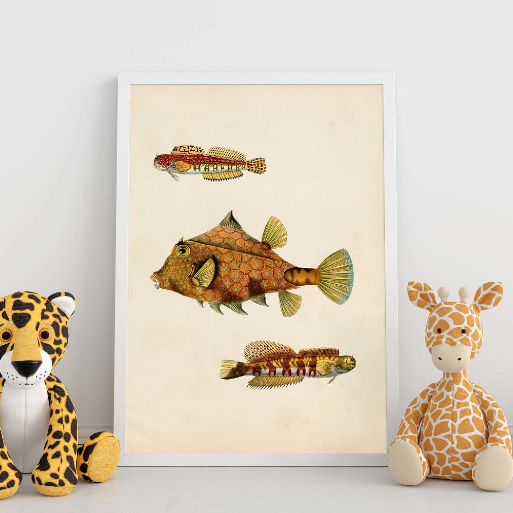 Nacnic Lámina Vintage De Tres Peces Marrones Y Amarillos