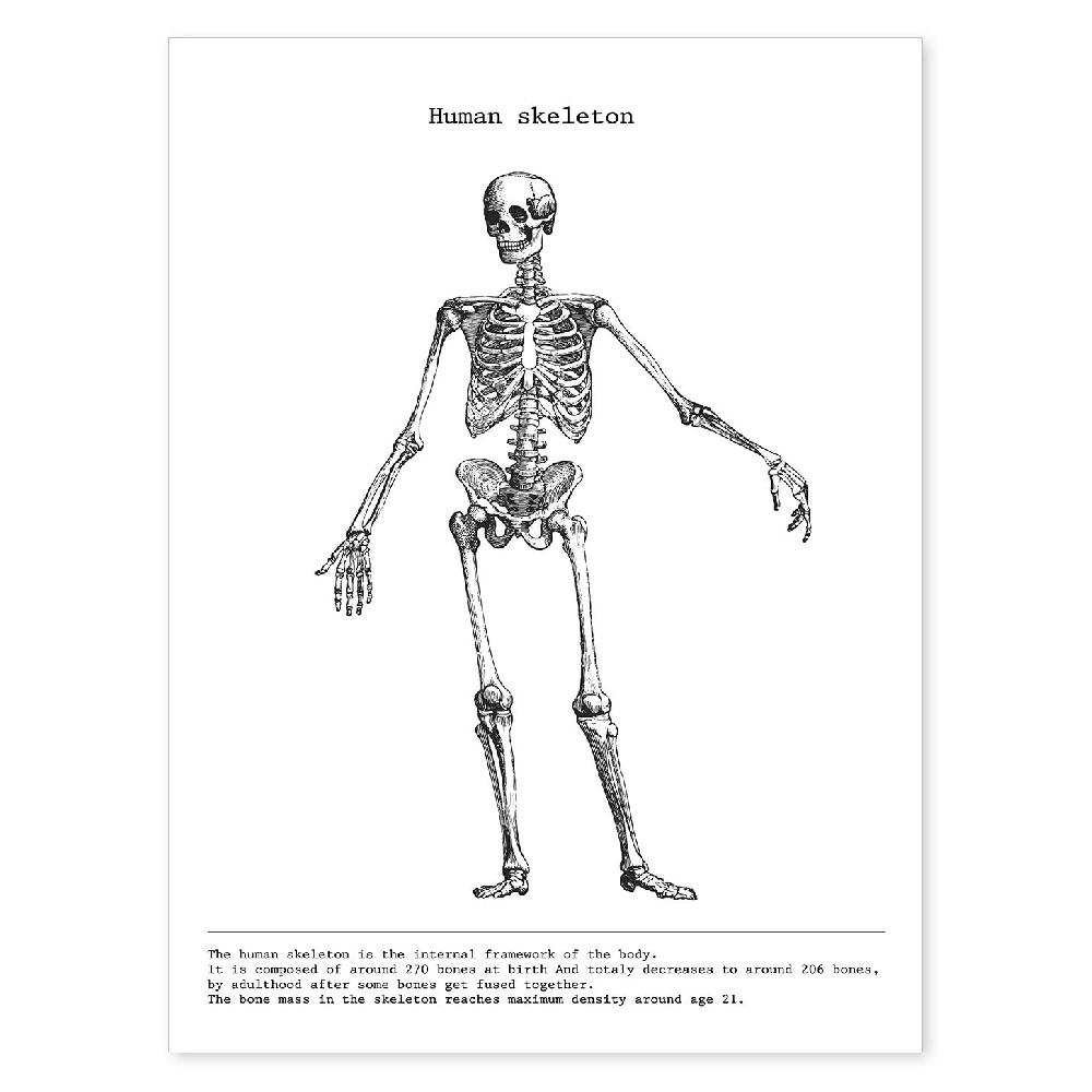 nacnic Láminas de Anatomía Humana en Blanco y Negro