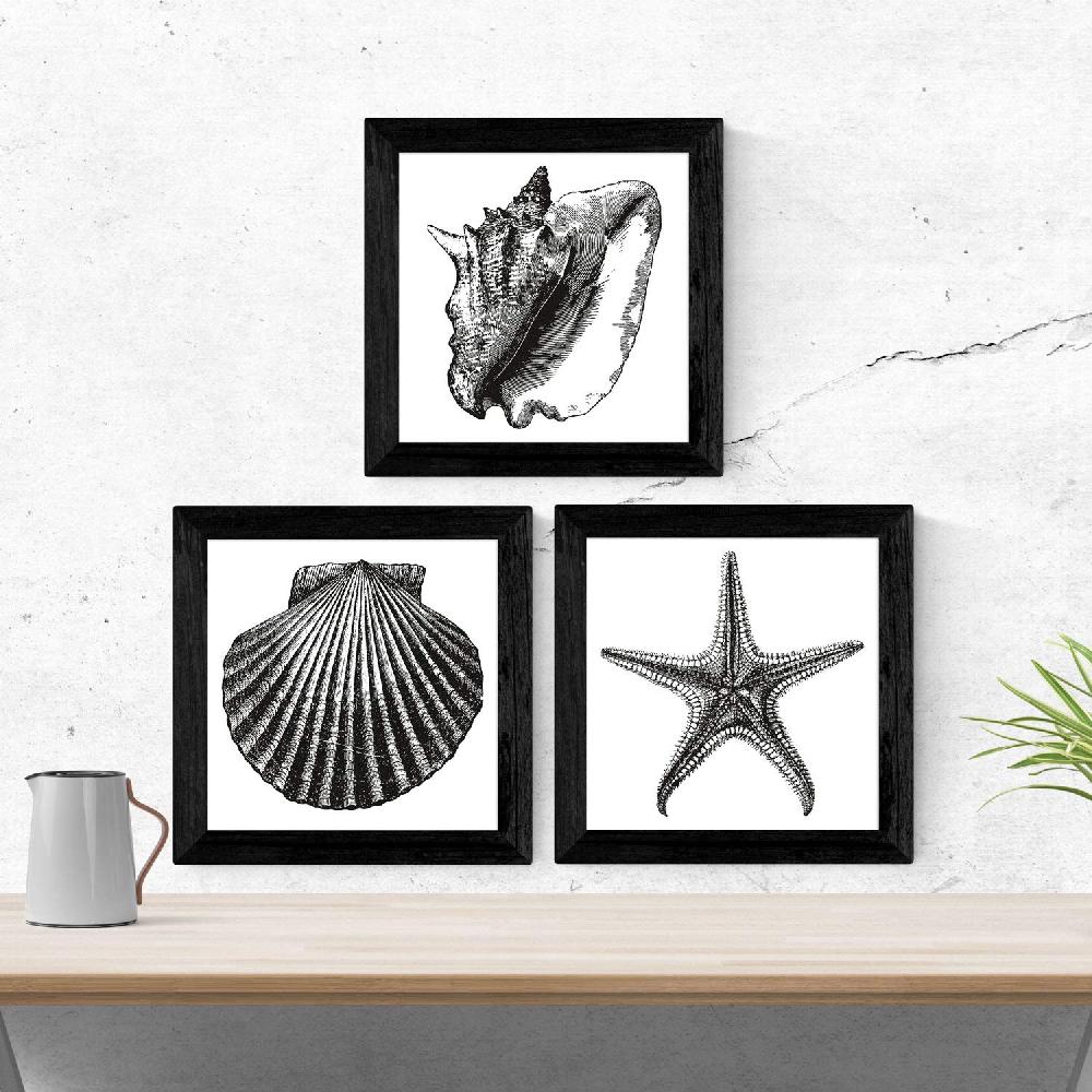 Nacnic Láminas De Animales Marinos En Blanco Y Negro