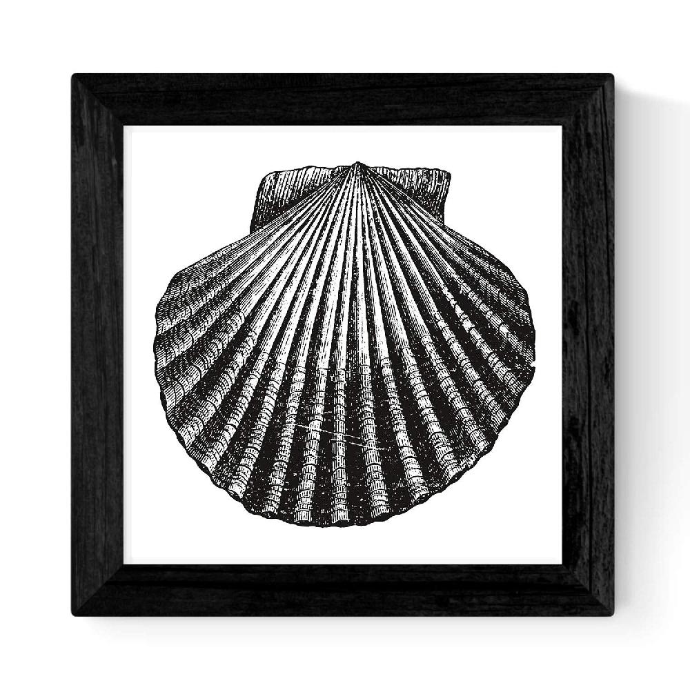 Nacnic Láminas De Animales Marinos En Blanco Y Negro