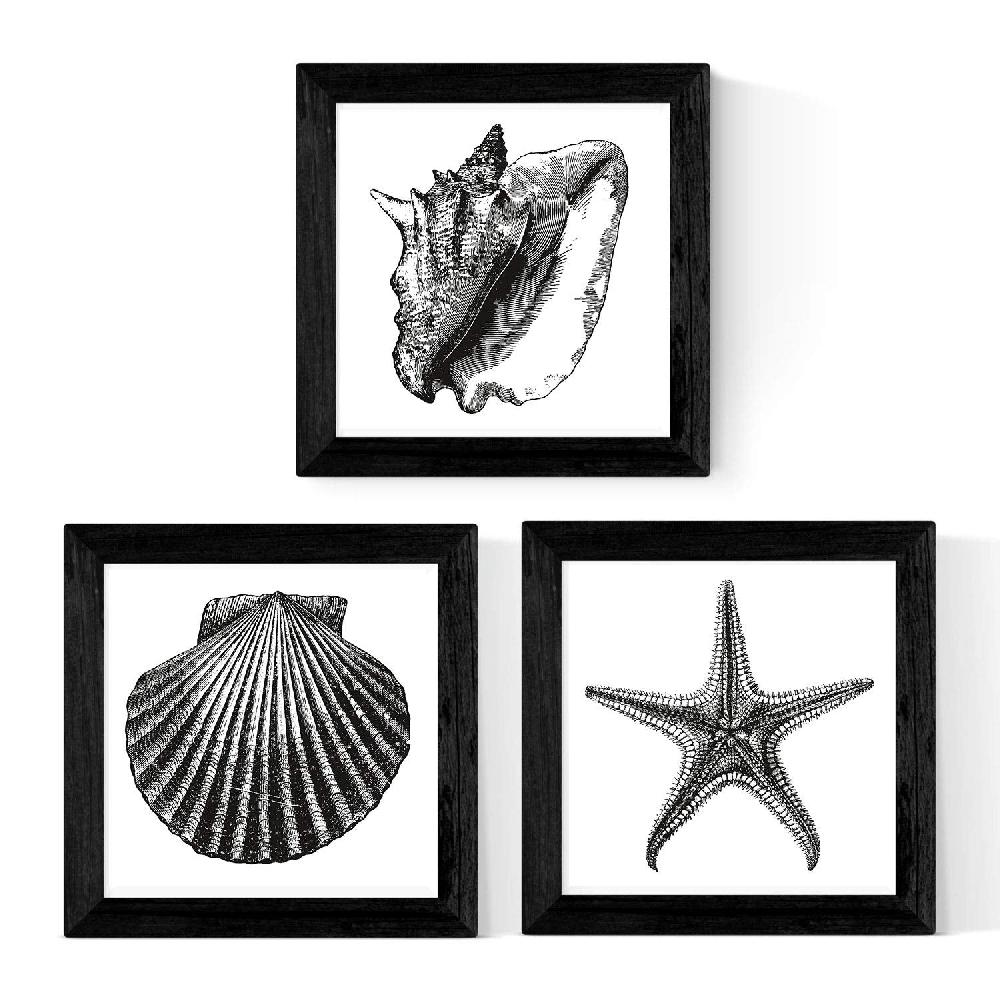 nacnic Láminas de Animales Marinos en Blanco y Negro