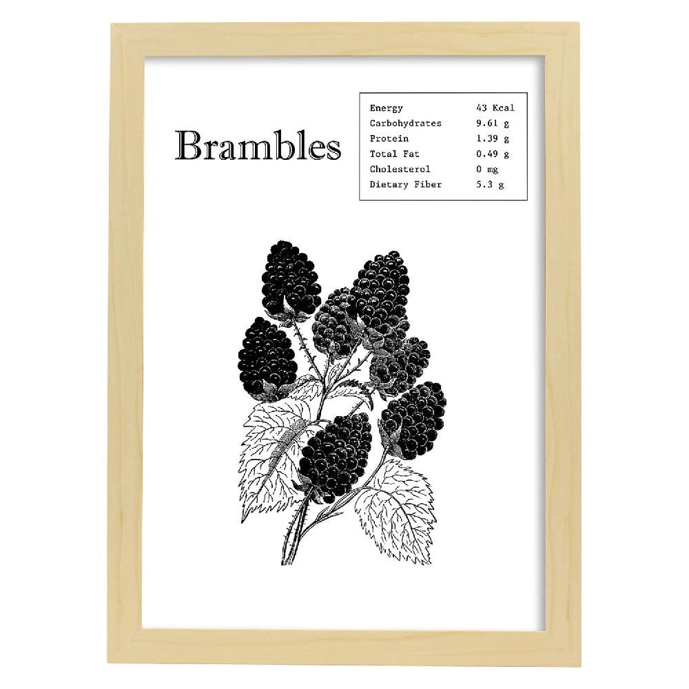 Nacnic Láminas De Brambles De Frutas Y Verduras En Inglés