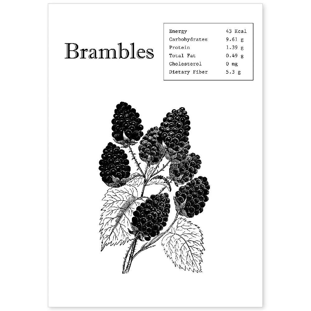 nacnic Láminas de Brambles de Frutas y Verduras en Inglés