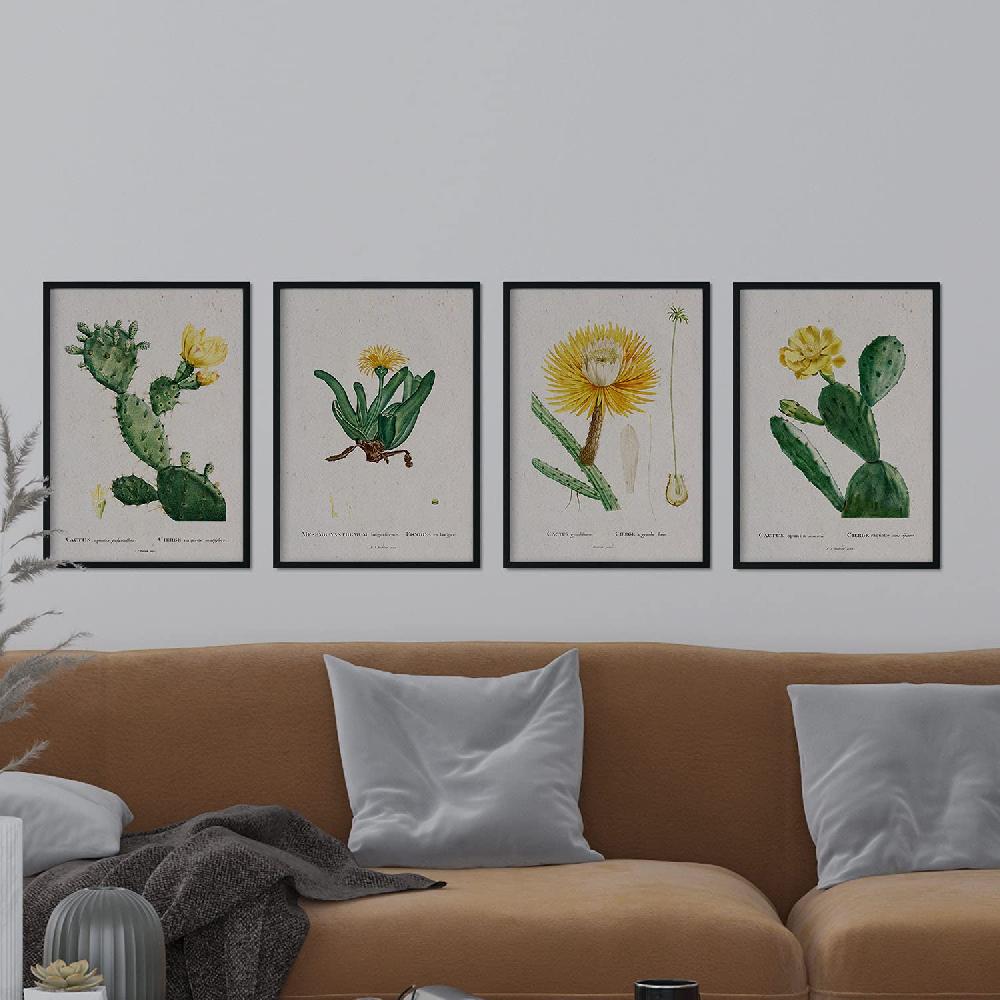 Nacnic Láminas De Cactus Amarillo De Pierre-Joseph Redouté