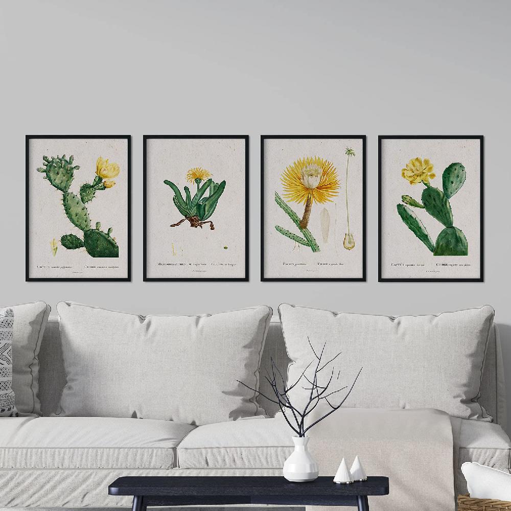 Nacnic Láminas De Cactus Amarillo De Pierre-Joseph Redouté