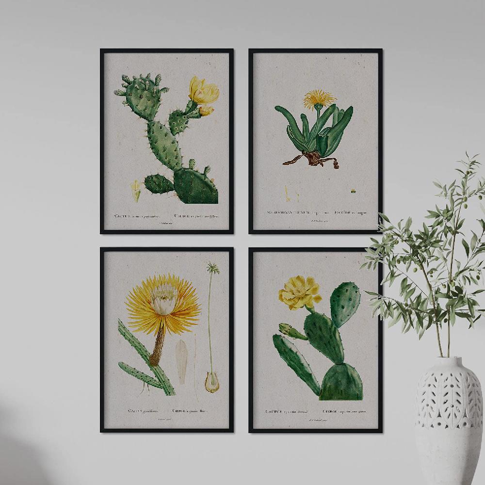 Nacnic Láminas De Cactus Amarillo De Pierre-Joseph Redouté