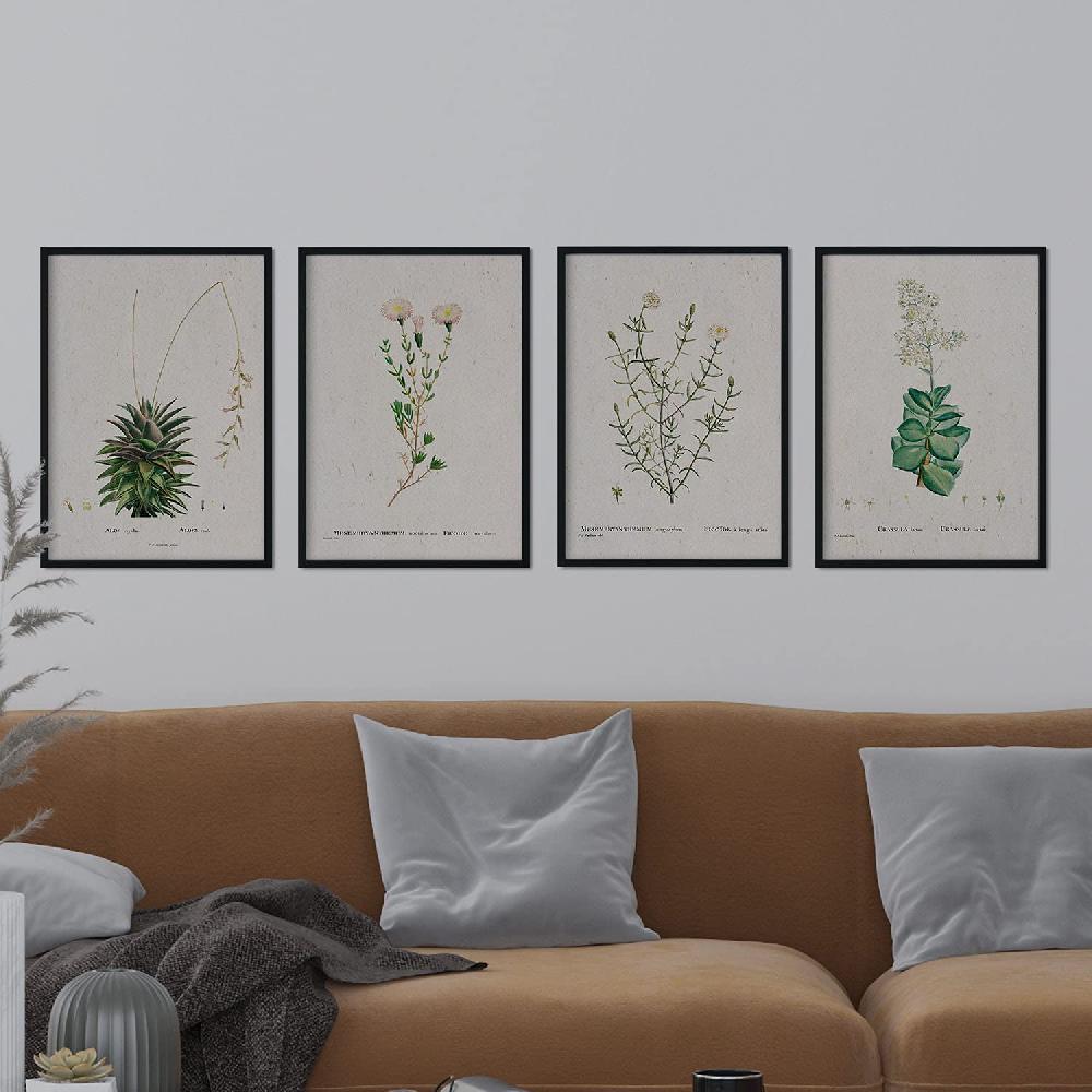 Nacnic Láminas De Flores Blancas En Acuarela De Pierre-Joseph Redouté