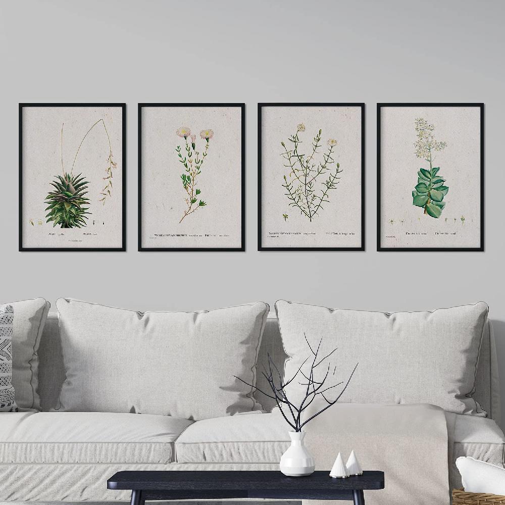 Nacnic Láminas De Flores Blancas En Acuarela De Pierre-Joseph Redouté