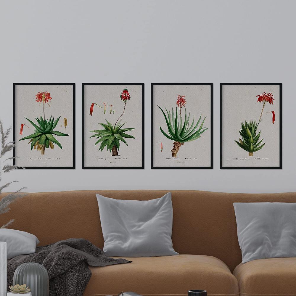 Nacnic Láminas De Flores Rojas Por Pierre-Joseph Redouté