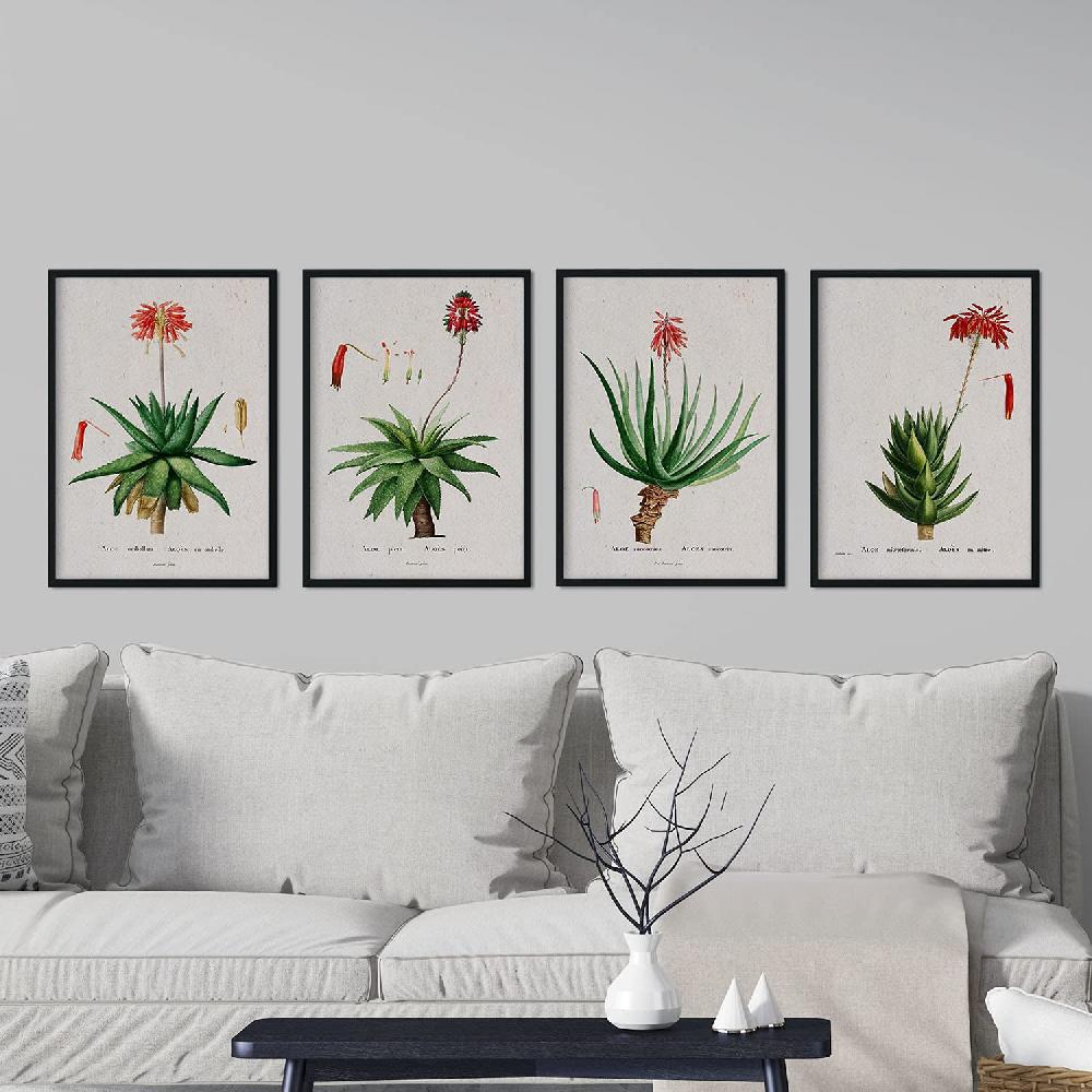 Nacnic Láminas De Flores Rojas Por Pierre-Joseph Redouté