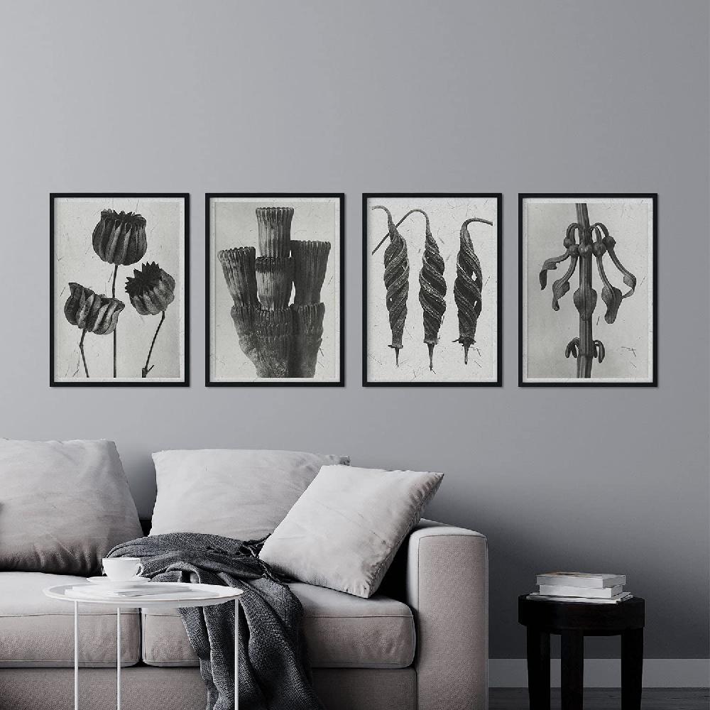 Nacnic Láminas Exóticas De Flores Y Plantas En Grises