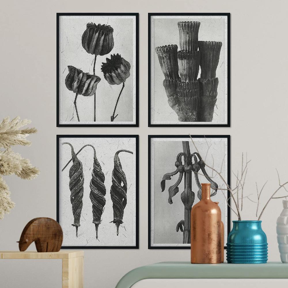 Nacnic Láminas Exóticas De Flores Y Plantas En Grises