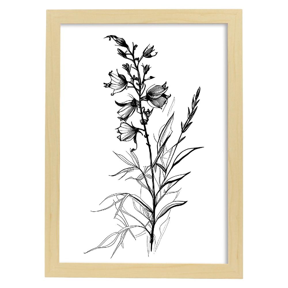 Nacnic Láminas Minimalistas De Nacnic Con Arte Lineal De Larkspur