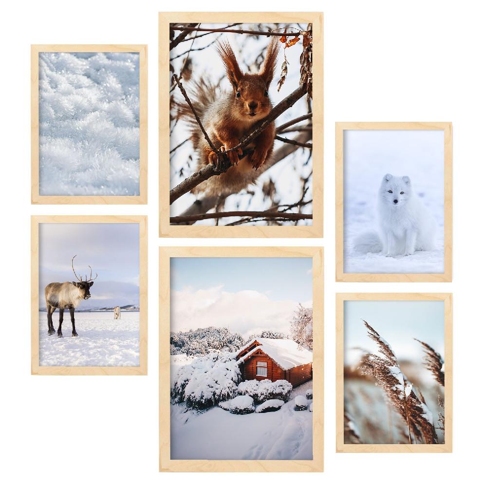 Nacnic Láminas Modernas De Fotografía De Animales Y Nieve