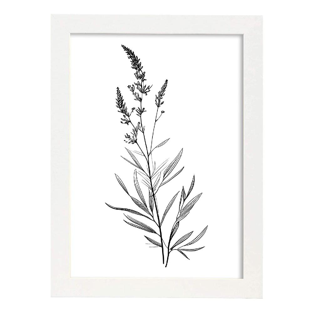 Nacnic Láminas Nacnic De Lavanda Arte Minimalista Aestético