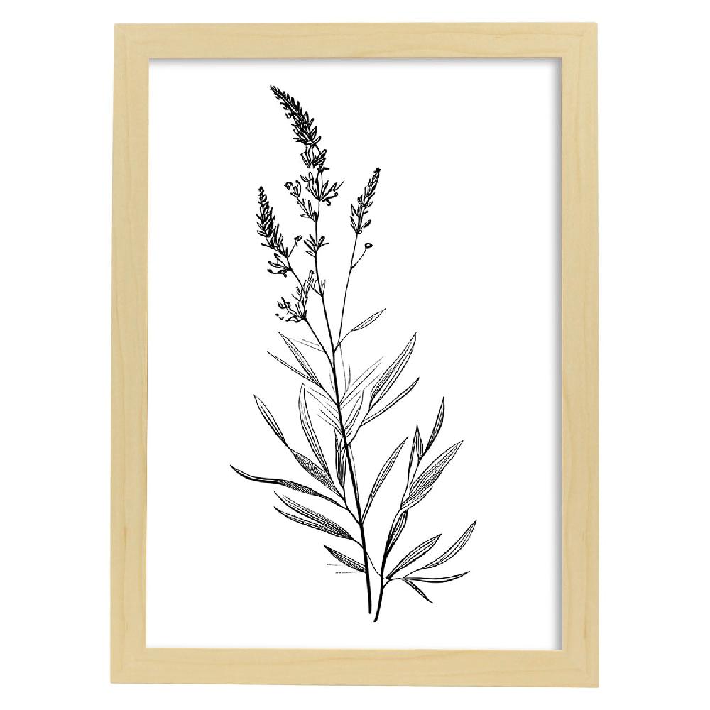 Nacnic Láminas Nacnic De Lavanda Arte Minimalista Aestético