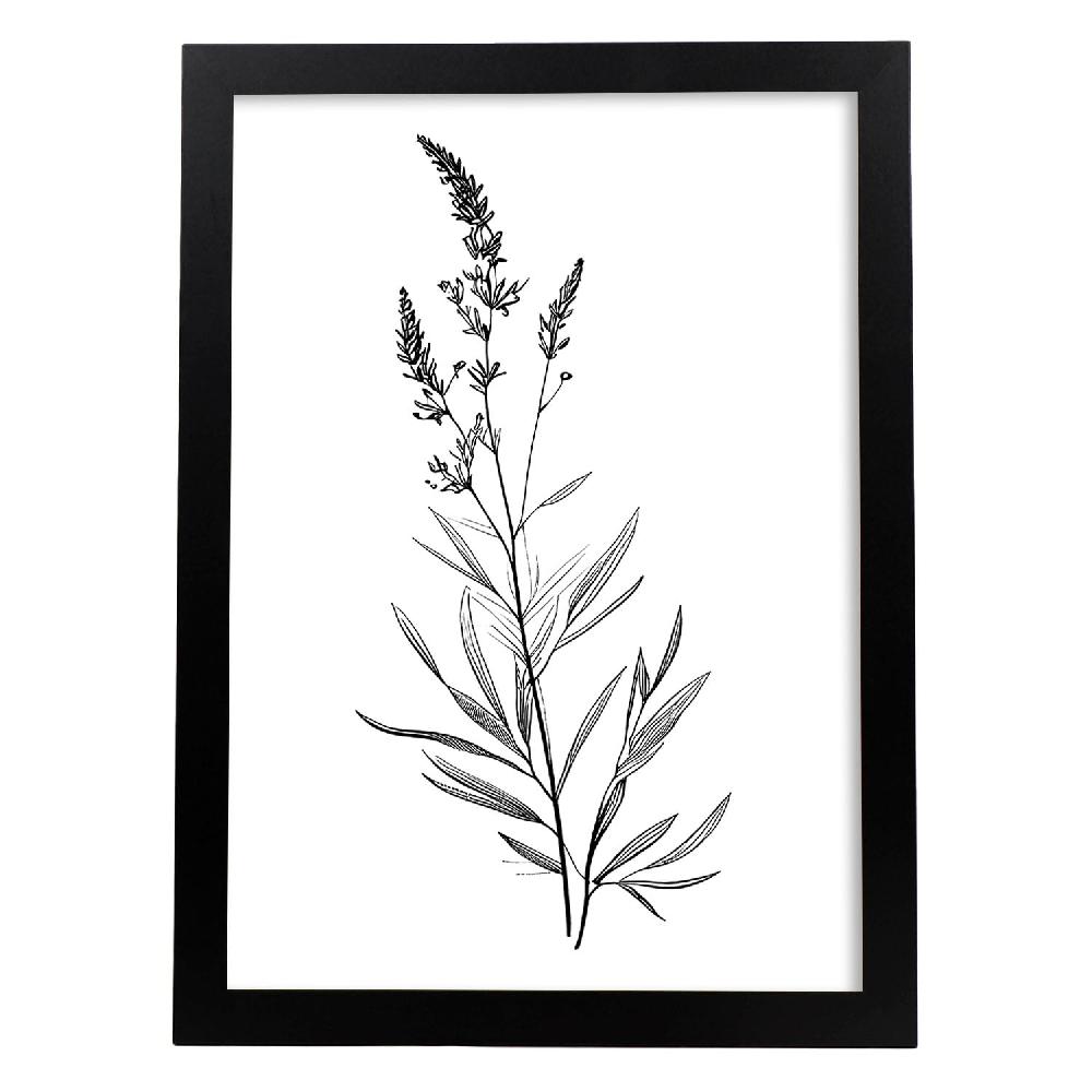 nacnic Láminas Nacnic de Lavanda Arte Minimalista Aestético
