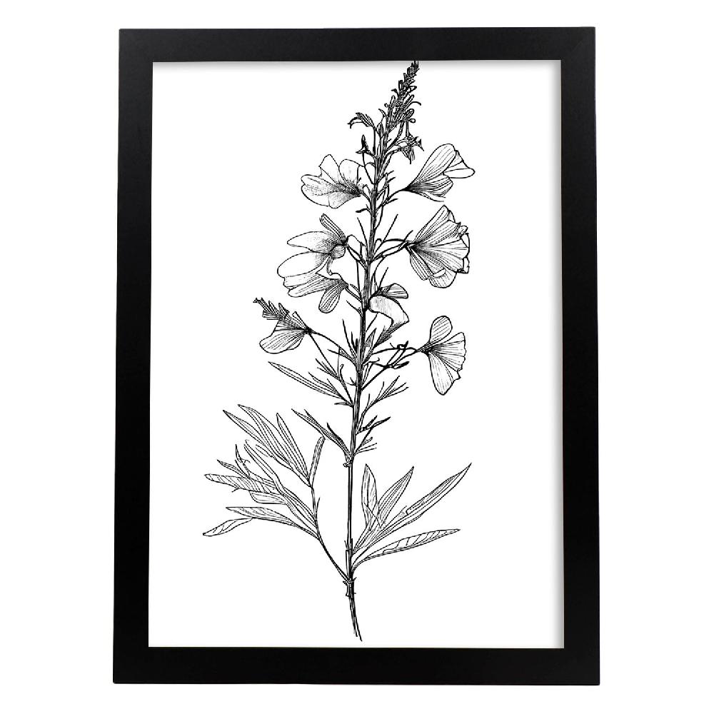 nacnic Laminas Nacnic Larkspur Arte Minimalista Lineal