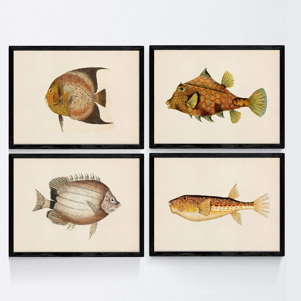 nacnic Láminas Vintage de Peces Coloridos en Tono Amarillo Marrón