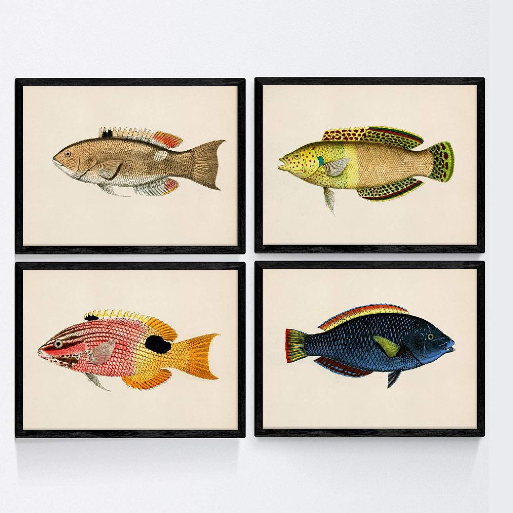 nacnic Láminas Vintage de Peces Coloridos en Tono Azul Amarillo Verde