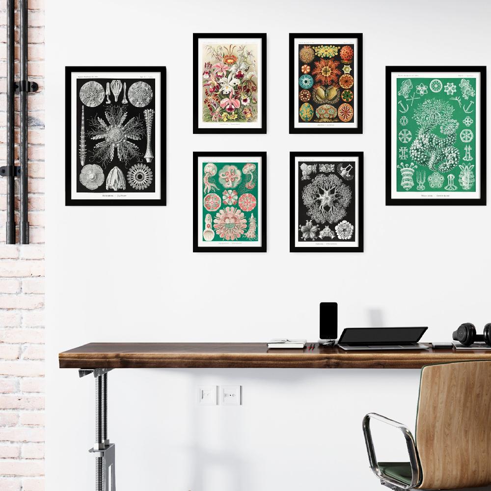 nacnic Botanical Floral