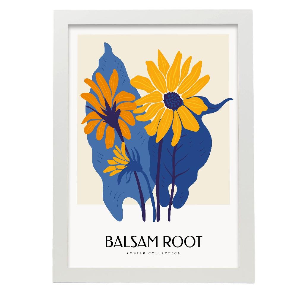 Nacnic Cartel De Balsam Root