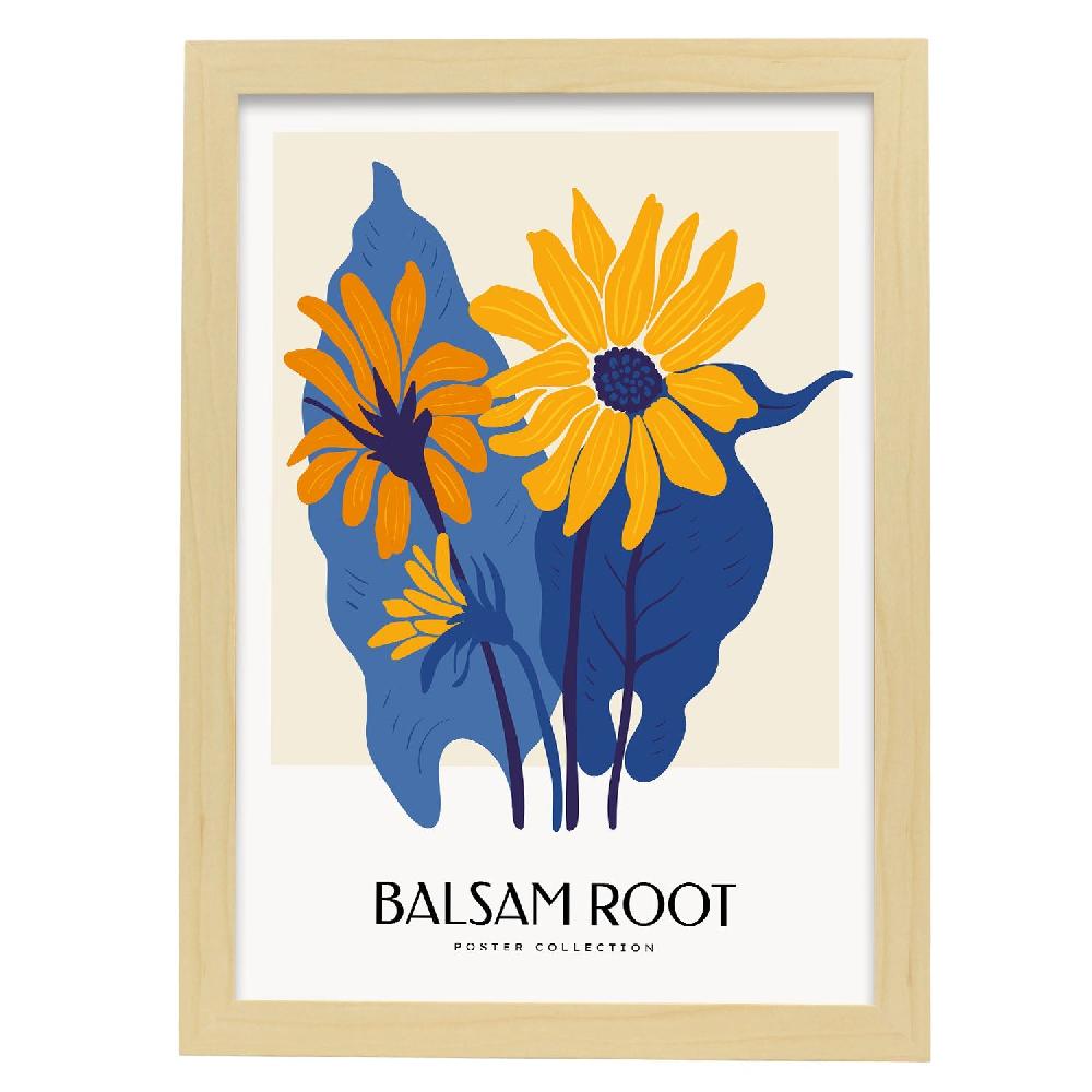 Nacnic Cartel De Balsam Root
