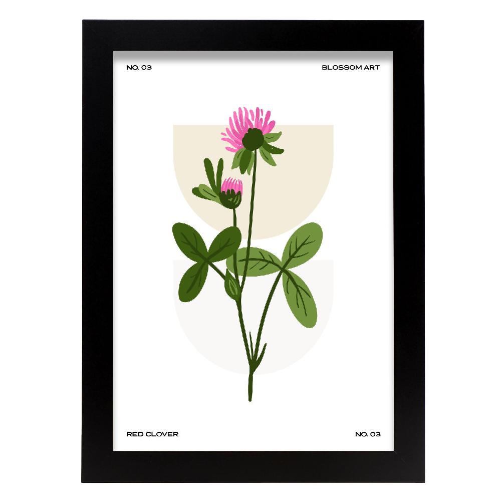 nacnic Cartel de Chrysanthemum