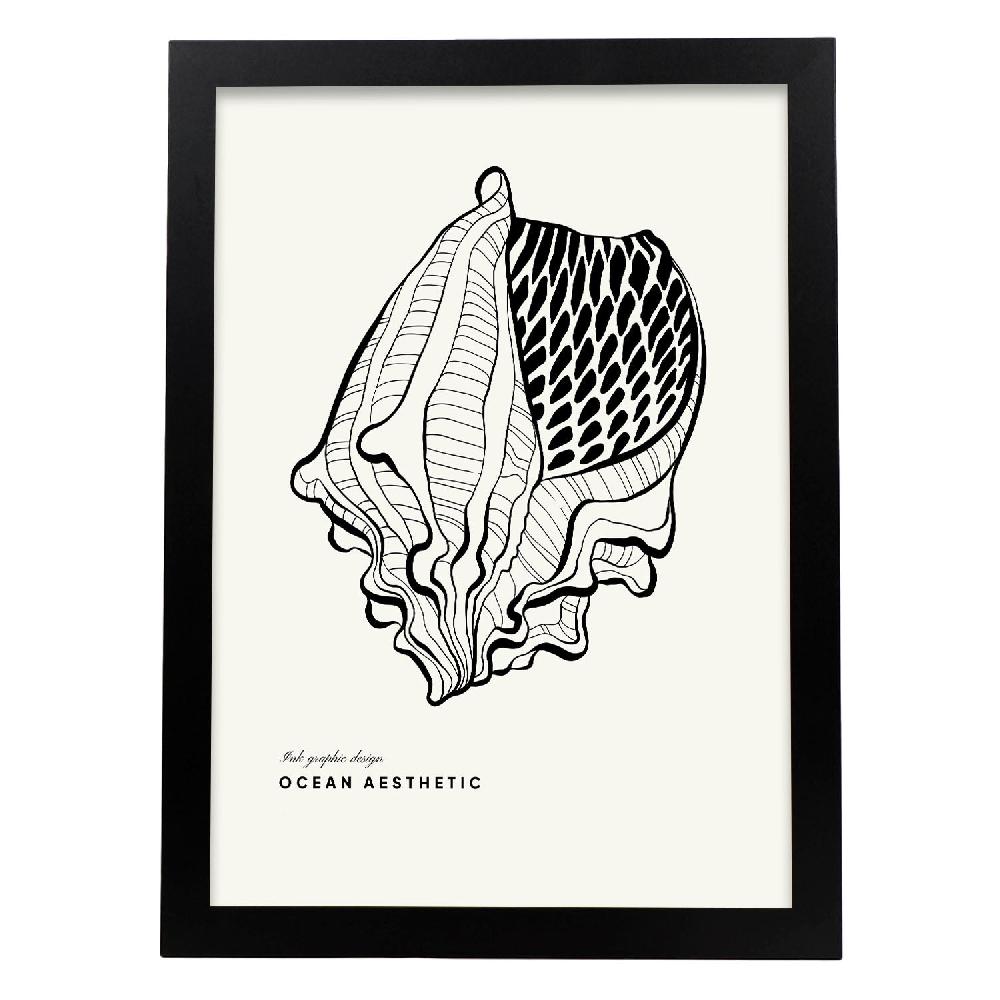 Nacnic Cartel De Crown Conch