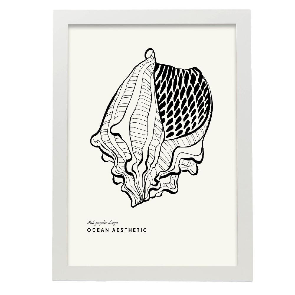 Nacnic Cartel De Crown Conch