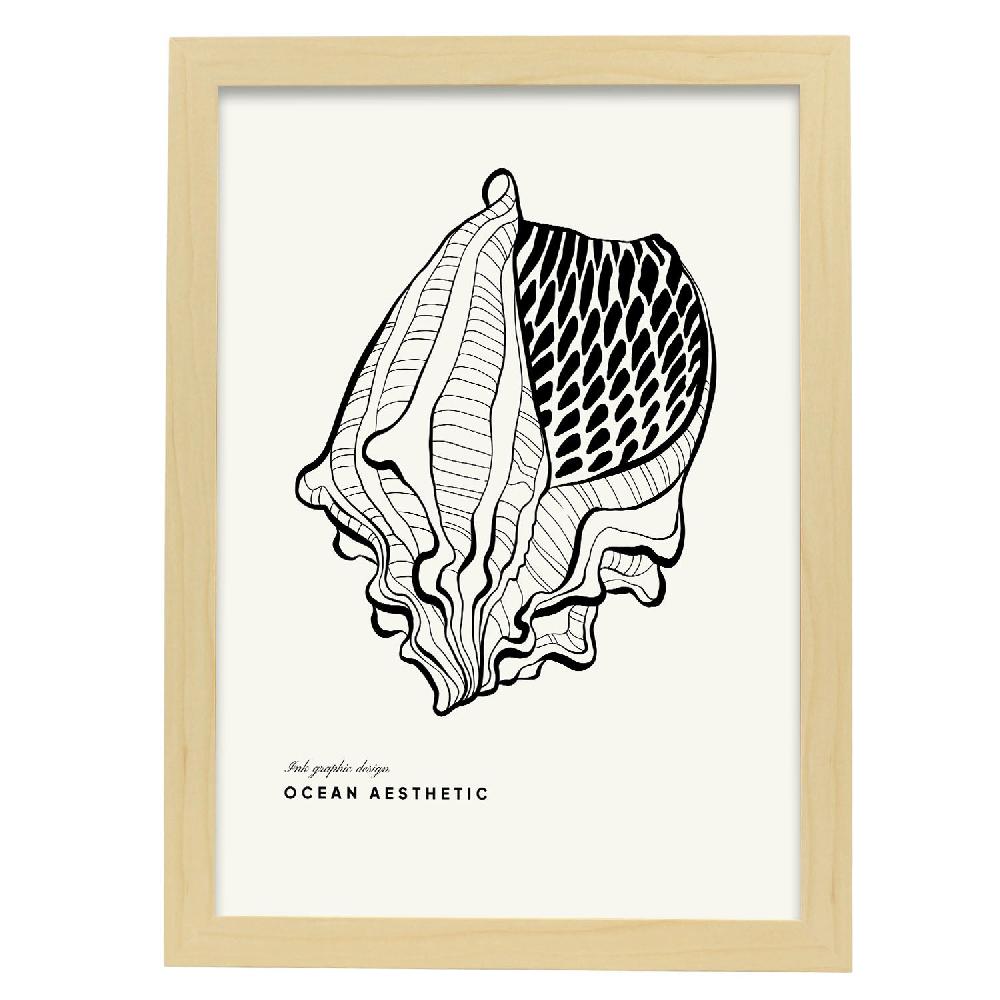 Nacnic Cartel De Crown Conch