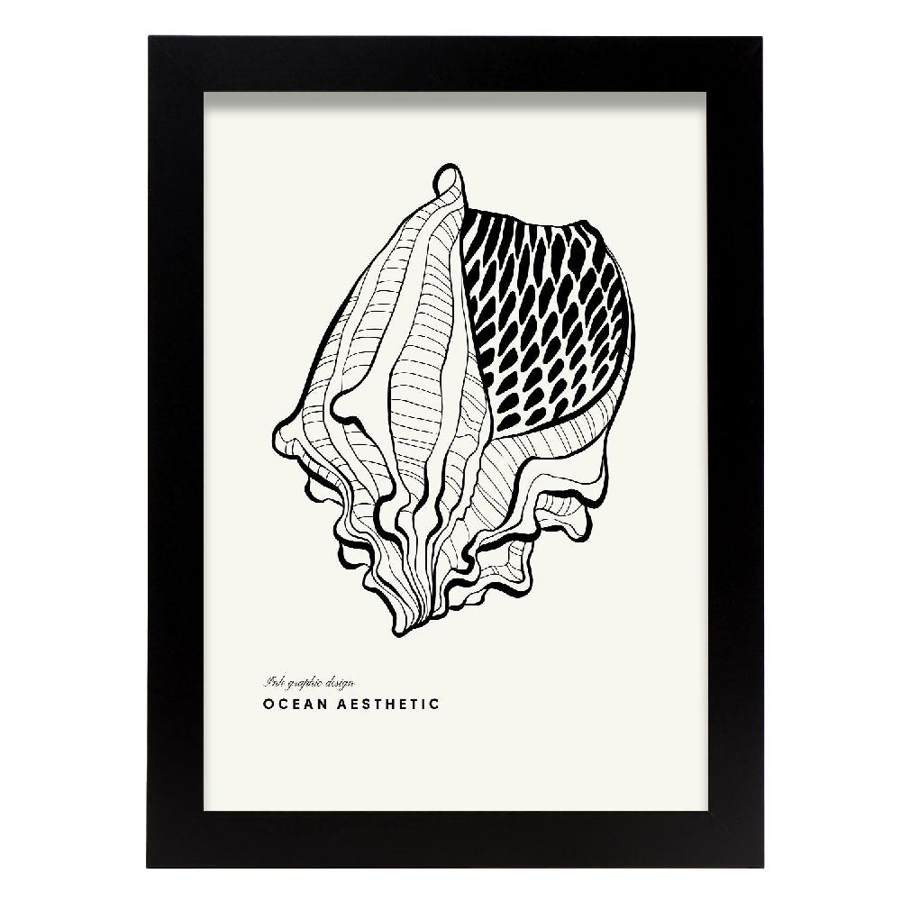 nacnic Cartel de Crown conch